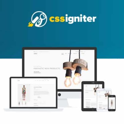 CSS Igniter Loge WooCommerce Theme 3 CSS Igniter Loge WooCommerce Theme