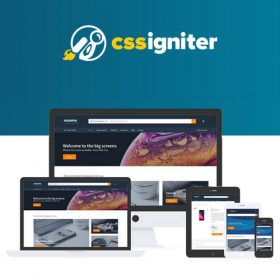 Products Update 2 3 CSS Igniter Nozama WooCommerce Theme