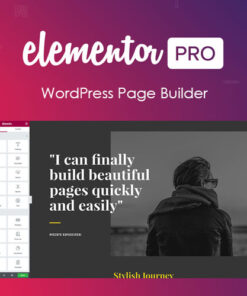 Elementor Pro Page Builder Wordpress Pluginelementor-pro-2.9.3Elementor Upload and Update Guide