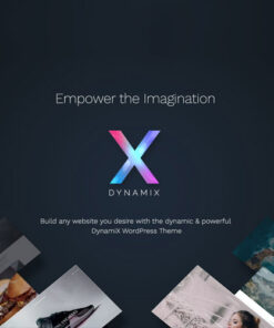 DynamiX Business Corporate WordPress Theme