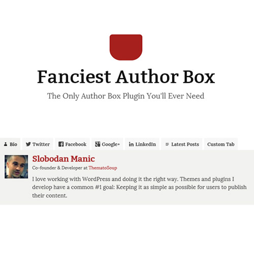 Fanciest Author Box 3 Fanciest Author Box