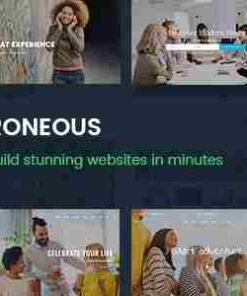 Roneous Creative Multi-Purpose WordPress Theme