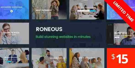 Roneous Creative Multi-Purpose WordPress Theme