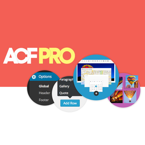Advanced Custom Fields (ACF) Pro 3 Advanced Custom Fields (ACF) Pro
