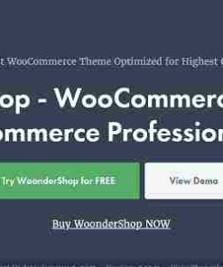 WoonderShop WooCommerce Theme for eCommerce Professionals