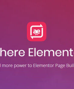 AnyWhere Elementor Pro