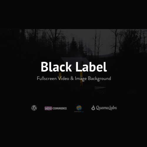 Black Label – Fullscreen Video & Image Background 3 Black Label – Fullscreen Video & Image Background
