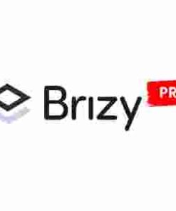 Brizy Builder Pro GPL – WP Page Builder All Working Features