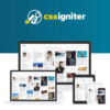 CSS Igniter Pinfinity WordPress Theme 2 CSS Igniter Pinfinity WordPress Theme