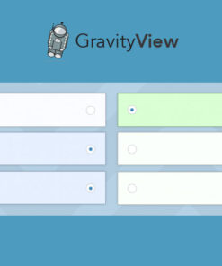 GravityView – Entry Revisions