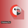 Polylang Pro GPL Plugin 2 Polylang Pro