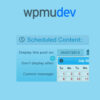 WPMU DEV Schedule Selected Content 1 WPMU DEV Pro Sites