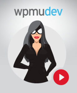 WPMU DEV Site Categories