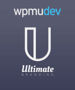 WPMU DEV Subscribe by Email