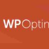 WP Optimize Premium