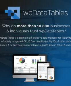 wpDataTables – Tables and Charts Manager for WordPress