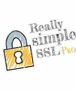 Really Simple SSL Pro