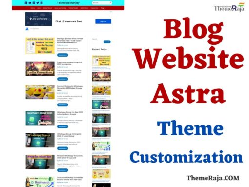 Astra Theme Customization Service
