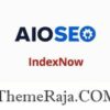 AIO SEO IndexNow Addon GPL Plugin 1 AIOSEO IndexNow Addon GPL Plugin