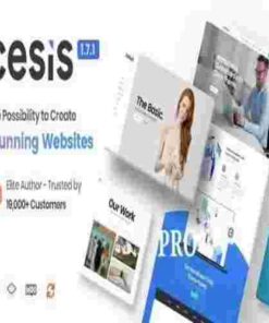 Cesis GPL Theme – Responsive Multi-Purpose WordPress Theme