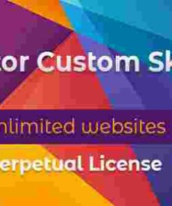 Elementor Custom Skin Pro