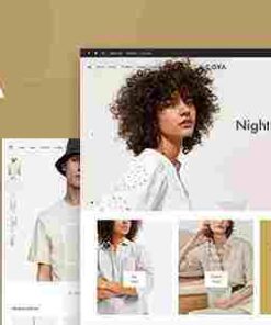Goya Modern WooCommerce Websites theme