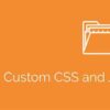 Simple Custom CSS and JS PRO GPL Latest Version 2 Simple Custom CSS and JS PRO GPL Plugin