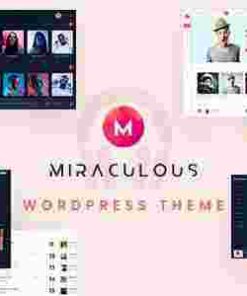 Miraculous Theme GPL Pro Download – Multi Vendor Online Music Store WordPress Theme