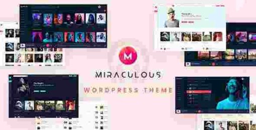 Miraculous Theme GPL Pro Download – Multi Vendor Online Music Store WordPress Theme