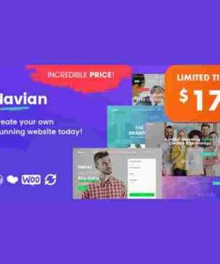 Navian Multi-Purpose Responsive WordPress Theme