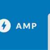 Polls for AMP GPL Plugin