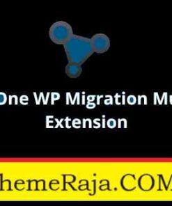 All In One WP Migration Multisite Extension