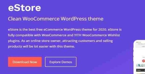 eStore Pro Original Lifetime License