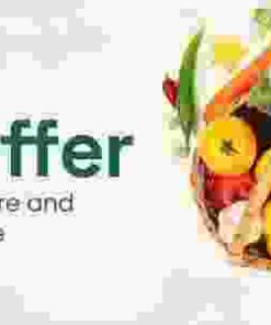 Groffer Theme GPL Organic Food Store Theme