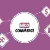 WooCommerce First Data Gateway GPL 1 WooCommerce First Data Gateway GPL