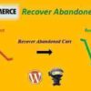 WooCommerce Recover Abandoned Cart GPL 2 WooCommerce Recover Abandoned Cart GPL