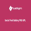 Social Feed Gallery PRO GPL Plugin
