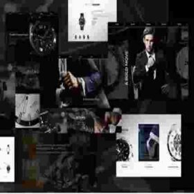 Products Update 2 13 SwissEagle Theme GPL Watch Store WordPress