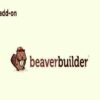 WP Grid Builder Beaver Builder Addon GPL Plugin